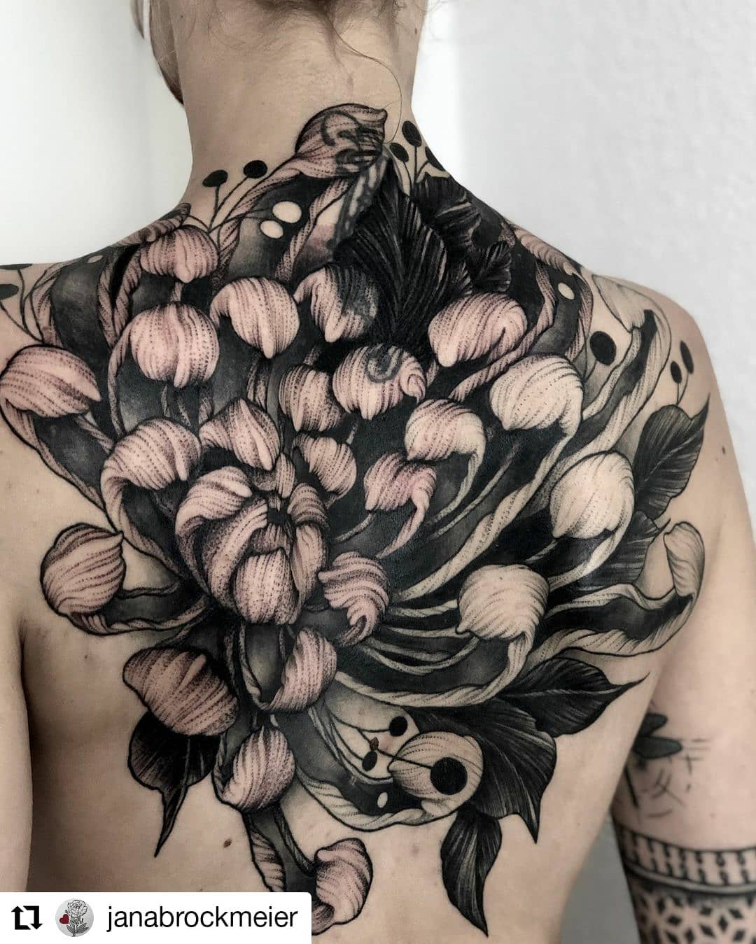 Neu von @janabrockmeier
• • • • • •
Freywerk Tattoostudio

Backpiece und Blastov