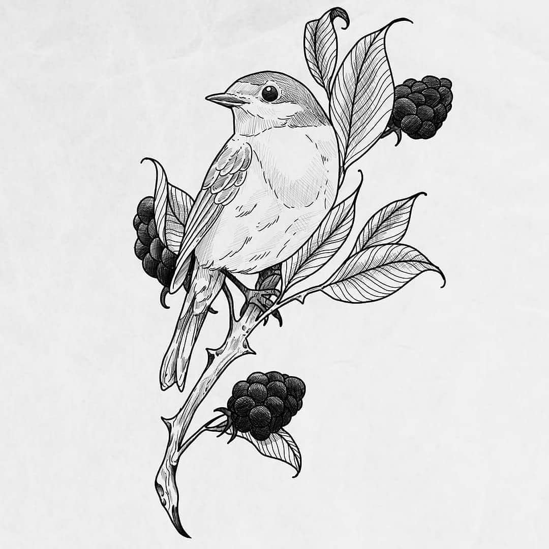 Wannado von @maurice_ink_
• • • • • •
Freywerk Tattoostudio

neues wannado vögel