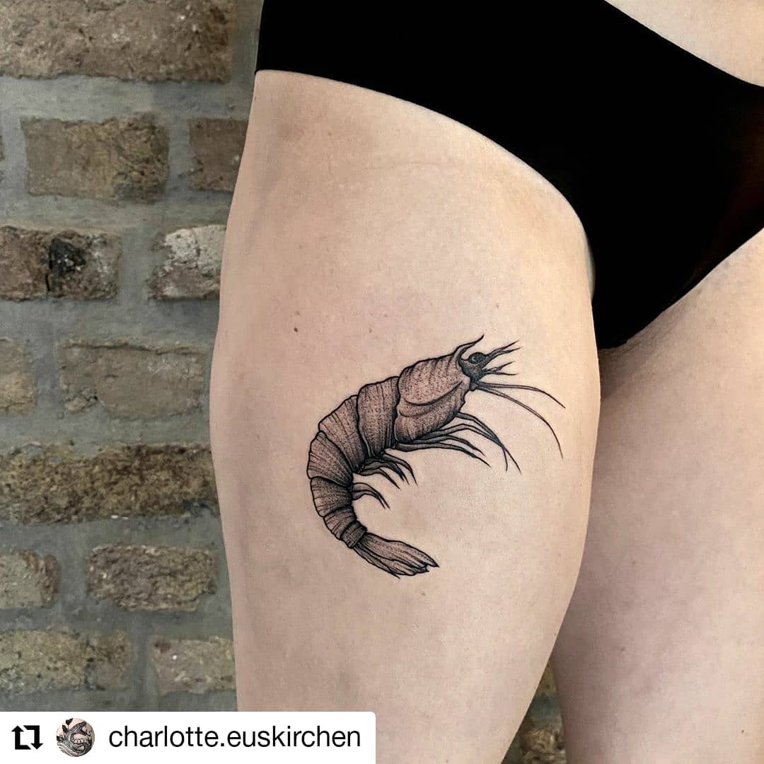 Neu von @charlotte.euskirchen
• • • • • •
Freywerk Tattoostudio

Lässiger Shrimp