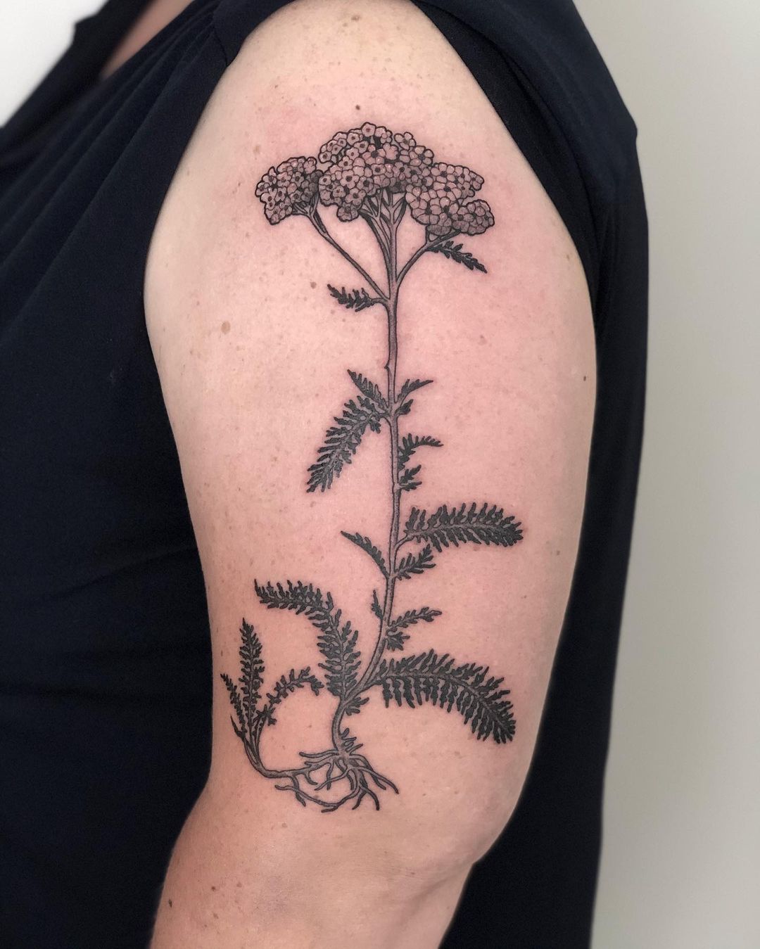 Danke Gesche  #yarrow #herbs #blackworktattoo #blackwork #darkartists #flowerlov