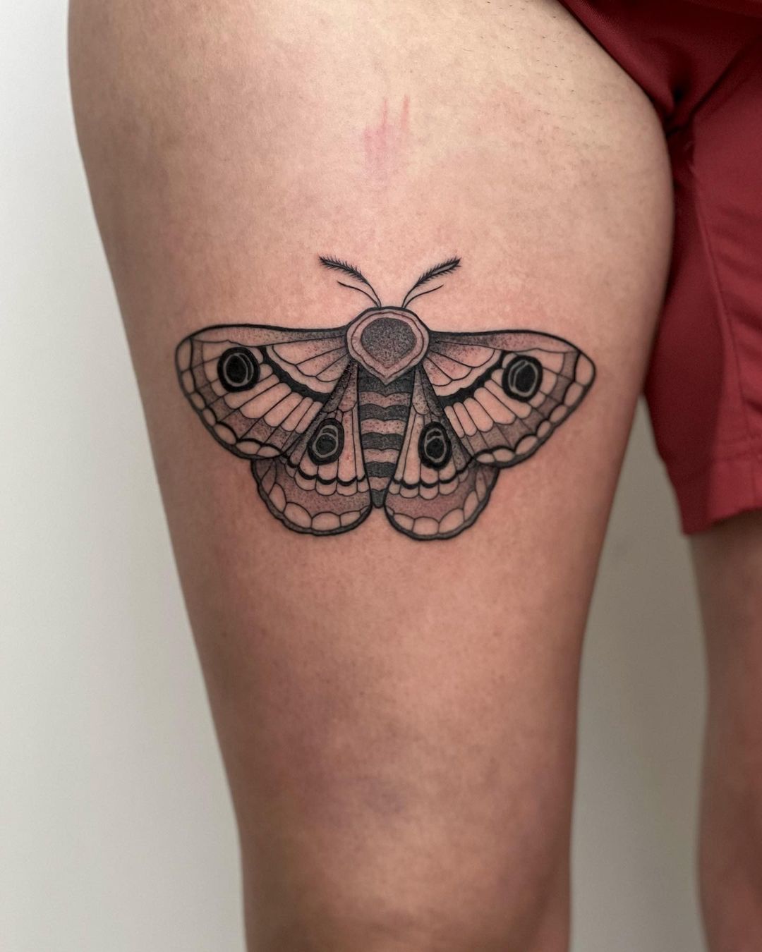 Danke Katharina 

#smalltattoos #blackwork #mothtattoo #linework #inked #blackwo