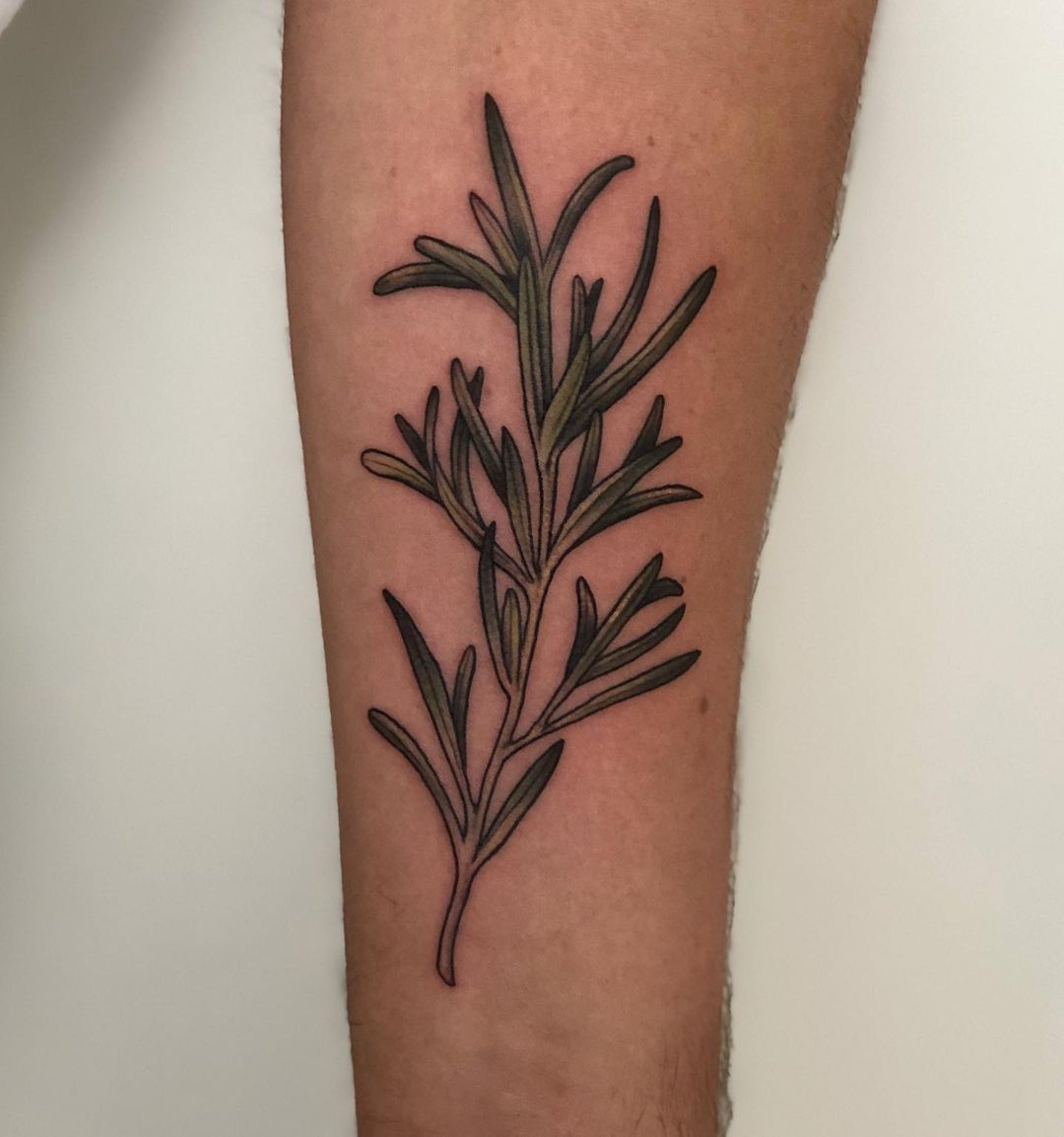 Kleiner Rosmarinzweig für Julian. Danke  #rosemary #smalstuff #planttattoo #rosm