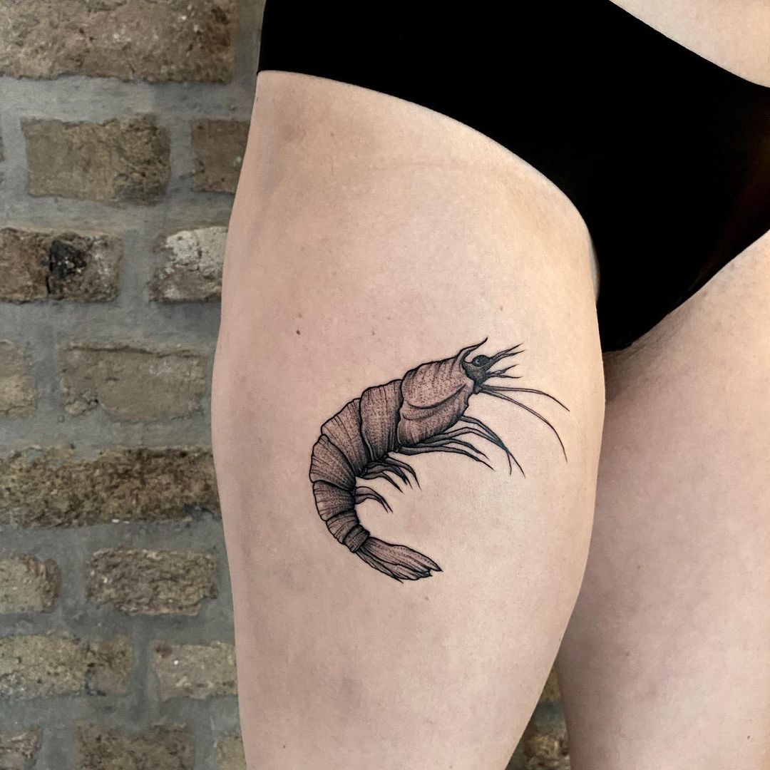 Lässiger Shrimp für Sissy - danke!
.
.
.

#tatts #tattooed #finelinetattoo #blac