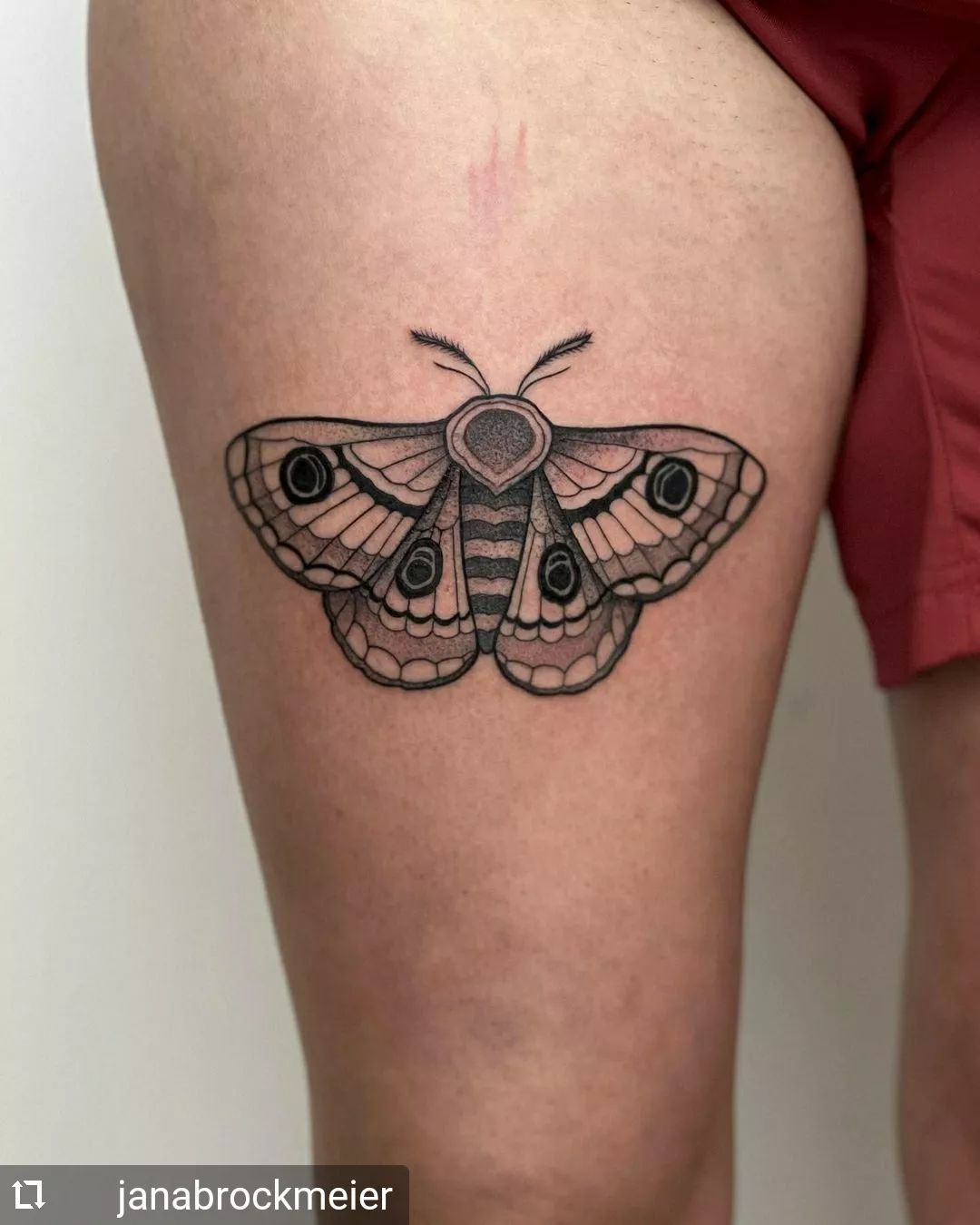 Neu von @janabrockmeier
...
Danke Katharina 

#smalltattoos #blackwork #mothtatt