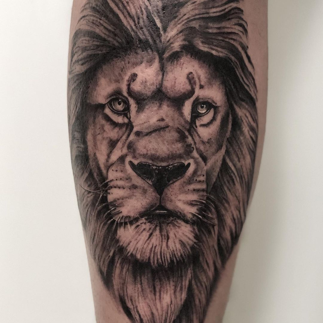 Out of the comfort zone  Danke für dein Vertrauen Tim  #lion #liontattoo #portra