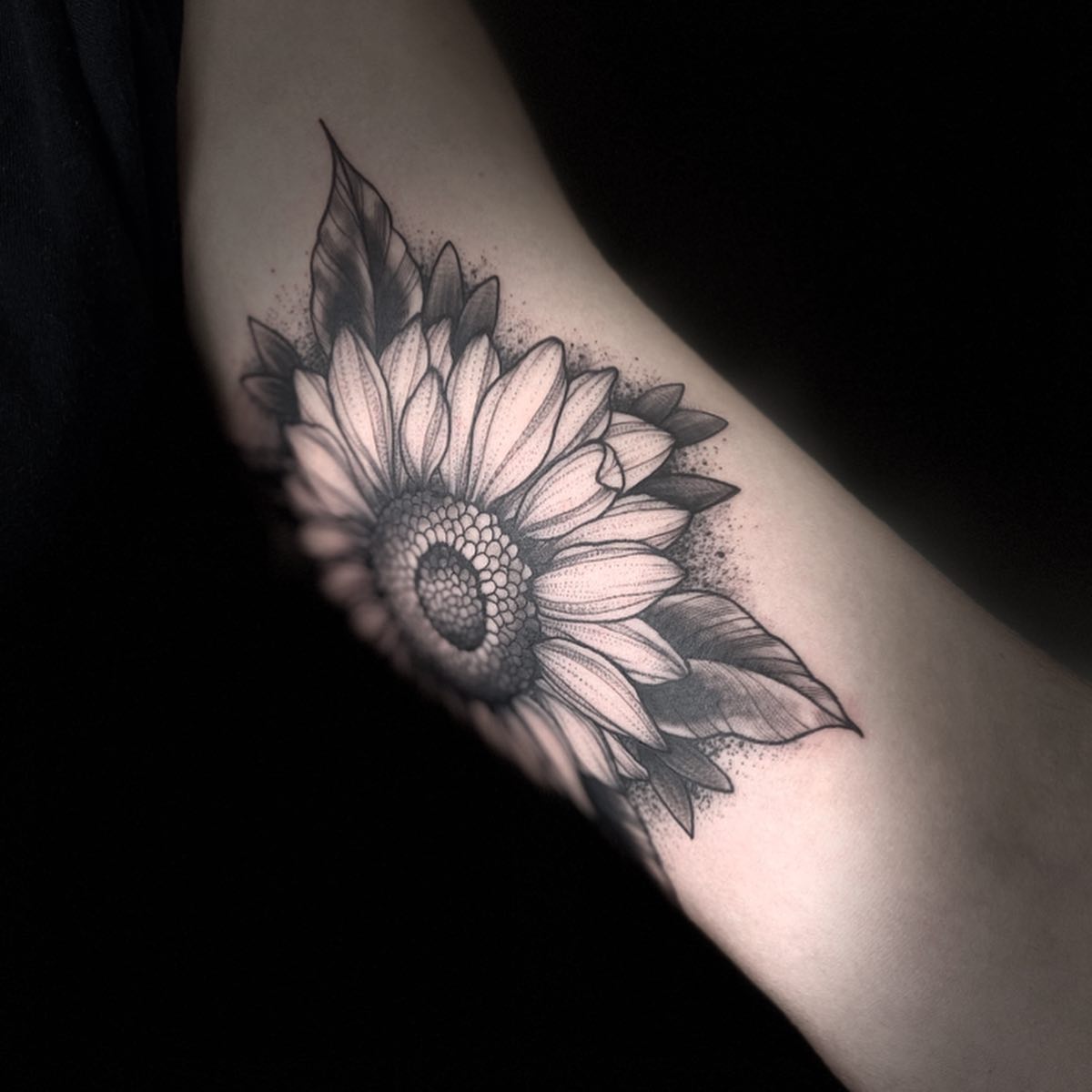 Sonnenblume für Milan - danke!
.
.
.

#tatts #tattooed #finelinetattoo #blacktat