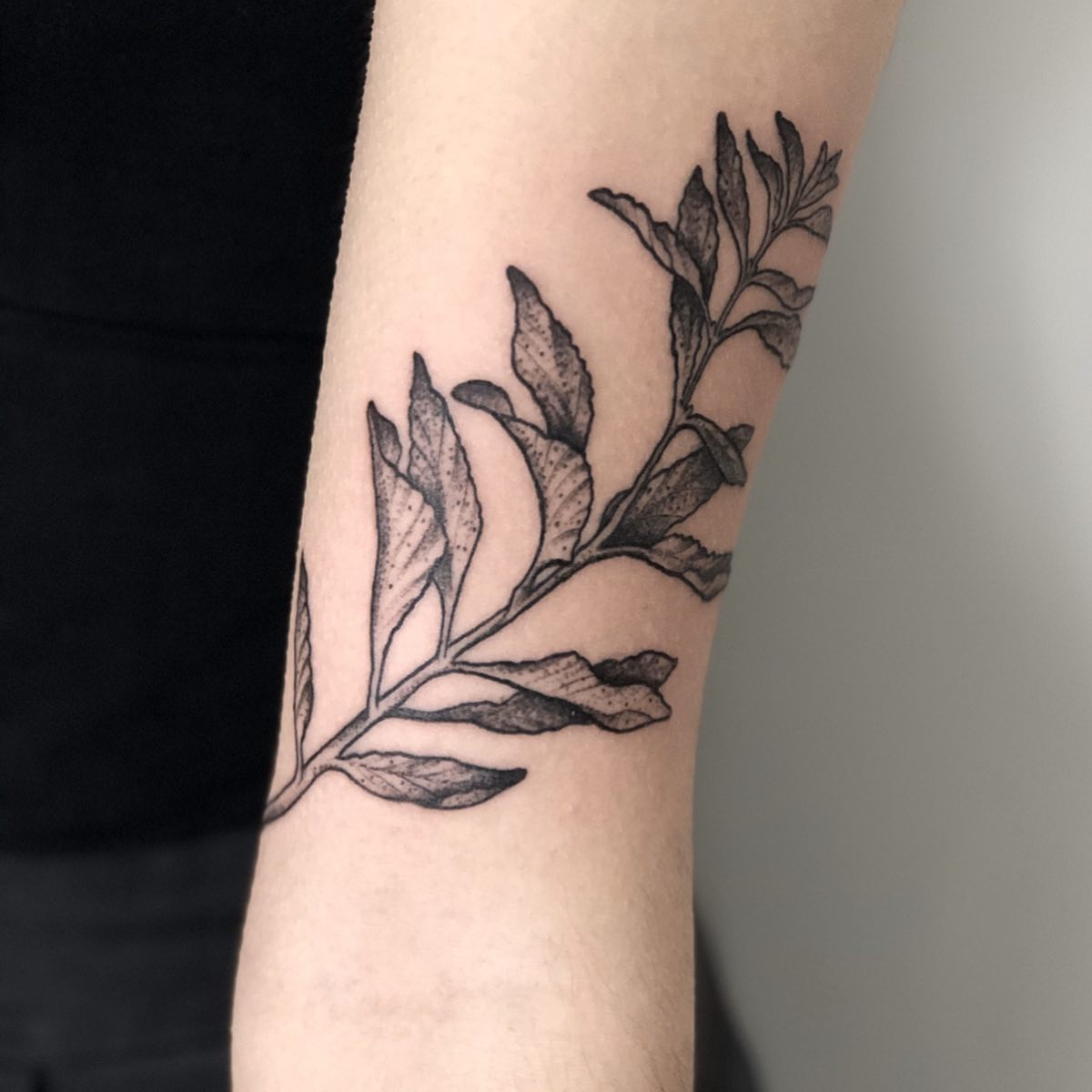 Thanks Caitlin  #sage #herbs #blackworktattoo #blackworkerssubmission #blackwork