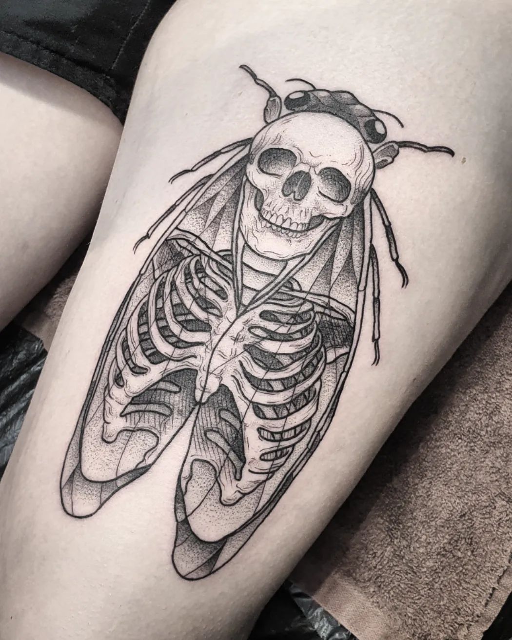 Zikade für die liebe Laura 
.
#tattoo #cicada #blackwork #blackworktattoo #ink #