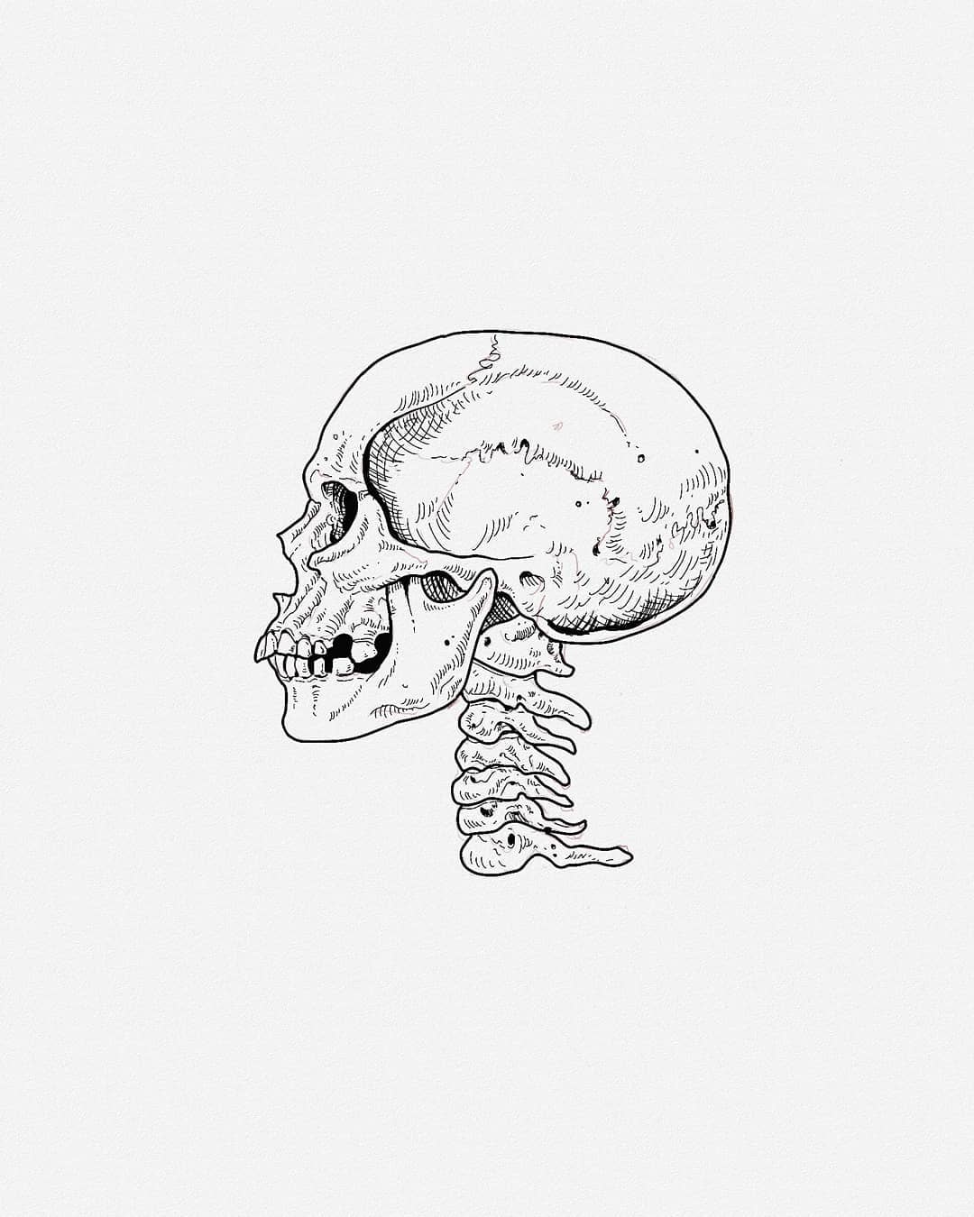 i just fucking love drawing skulls
-
#skull #tattooart #tattoo #tattoos #tattooa