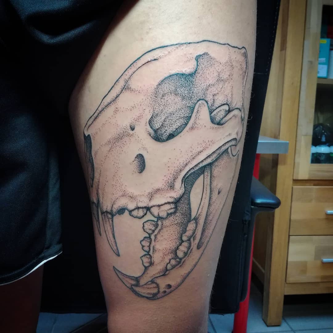 #lion #skull #lionskull #dotwork #layout #sketch #drawing #sunday #art #artist #