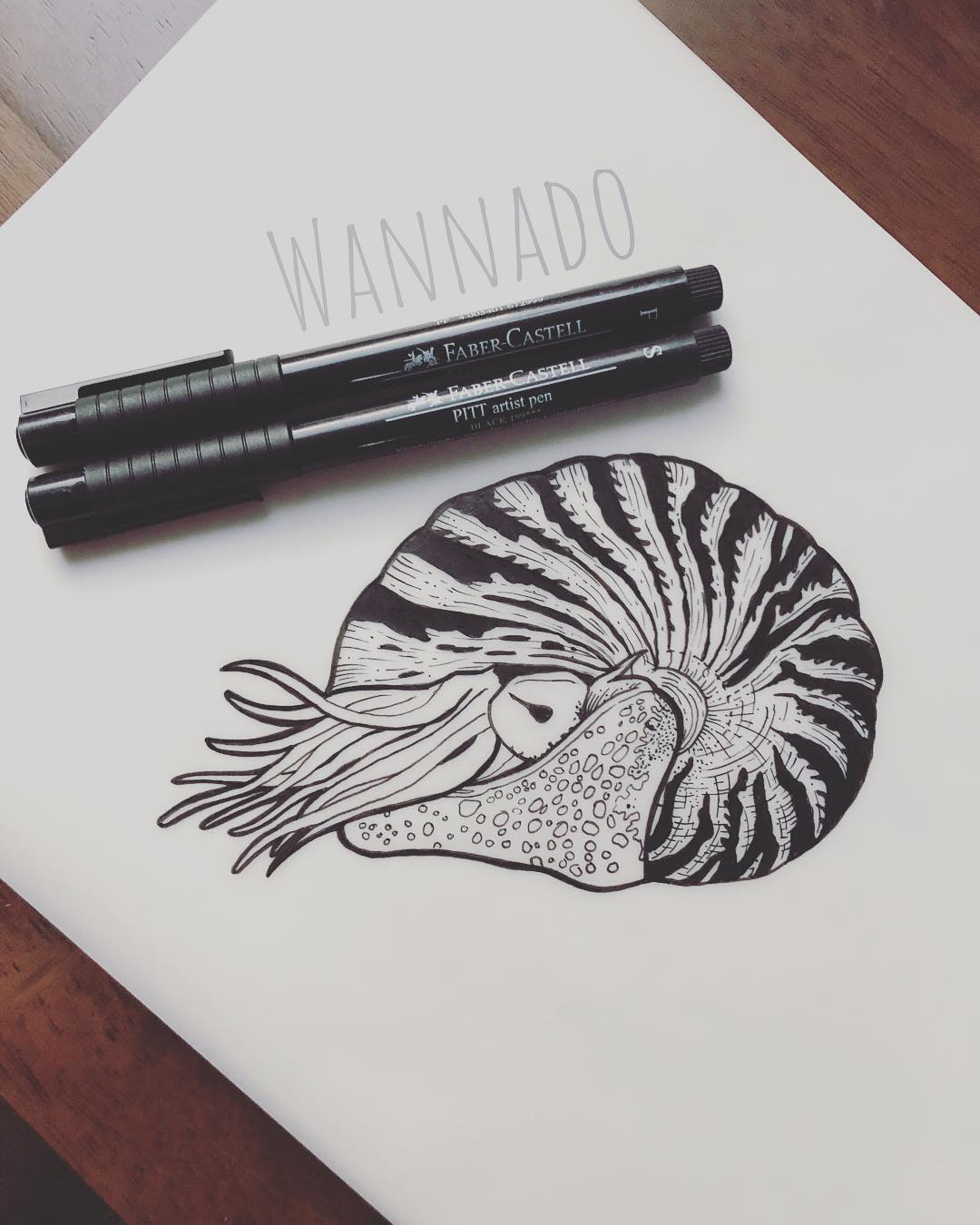 #nautilus #wannado #wannadotattoo #lineworktattoo #sea #fabercastell #freywerk #