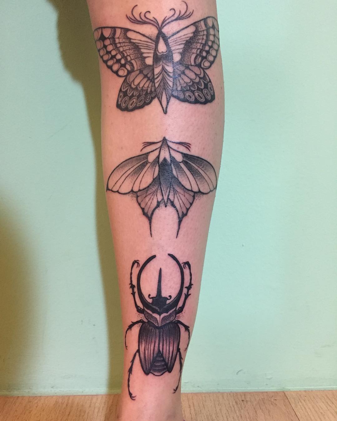 Healed moths + fresh beetle  Danke Jana!  #mothtattoo #beetletattoo #goodcompany