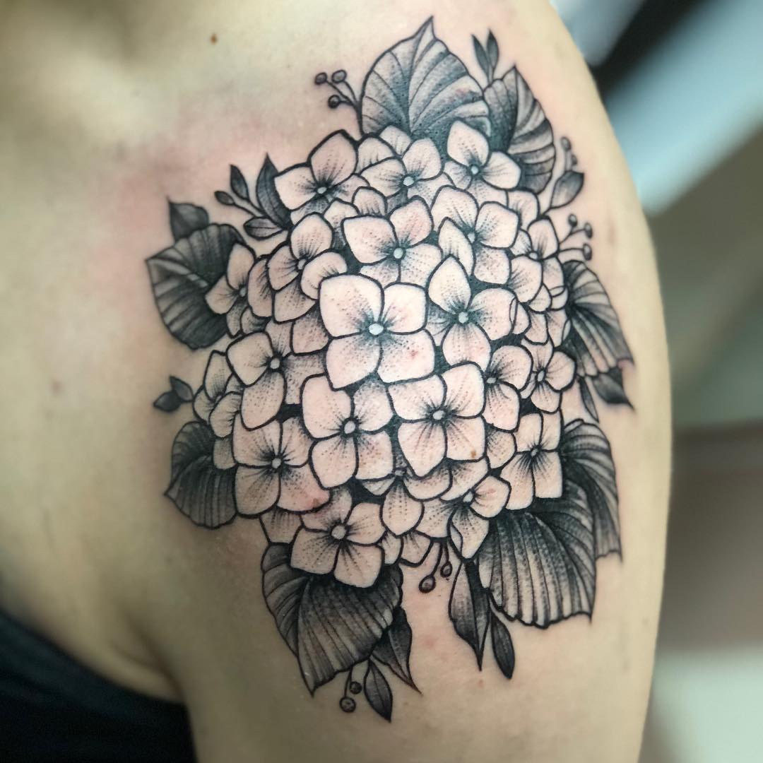 Hortensie! Danke Ines!  #hortensien #hortensia #blackwork  #tattoooftheday #fürd