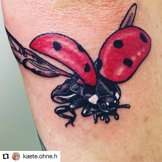 #Repost Käte Ohne H
 • • • • • •
 Freywerk Tattoostudio
 Kleiner Marienkäfer von...