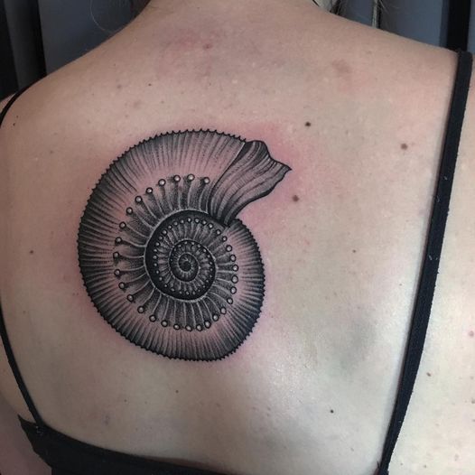 Von Charlotte.euskirchen!

First one for Sandra! #ammonite #tattoo #tattoos #ink...