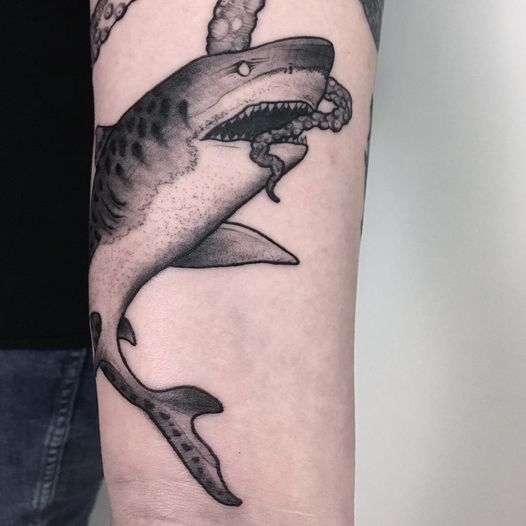 Von Charlotte.euskirchen

Tigershark on jacky! Thanks for the nice day  #linetat...