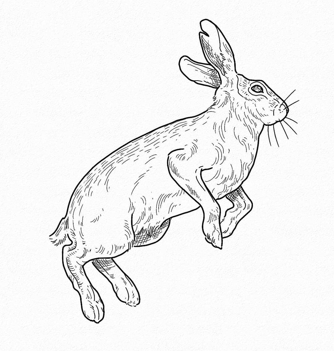 Good ol hare
-
#etchingtattoo #harettattoo #rabbittattoo #rabbit #tattooköln #ta
