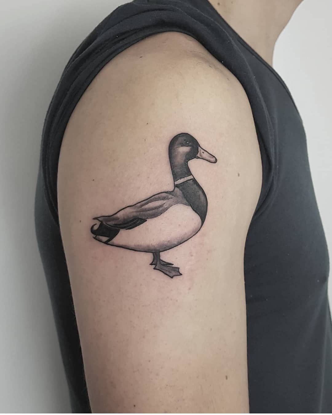 i didnt choose the ducklife. the ducklife chose me motherducker!
-
Email Maurice