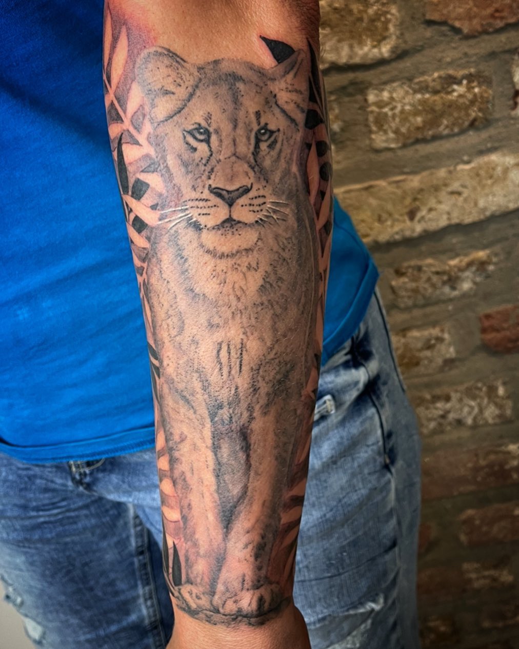 Löwin (verheilt,Hintergrund neu)
•
•
•
#inked #ink #inkedgirls #tattoos #tattoo