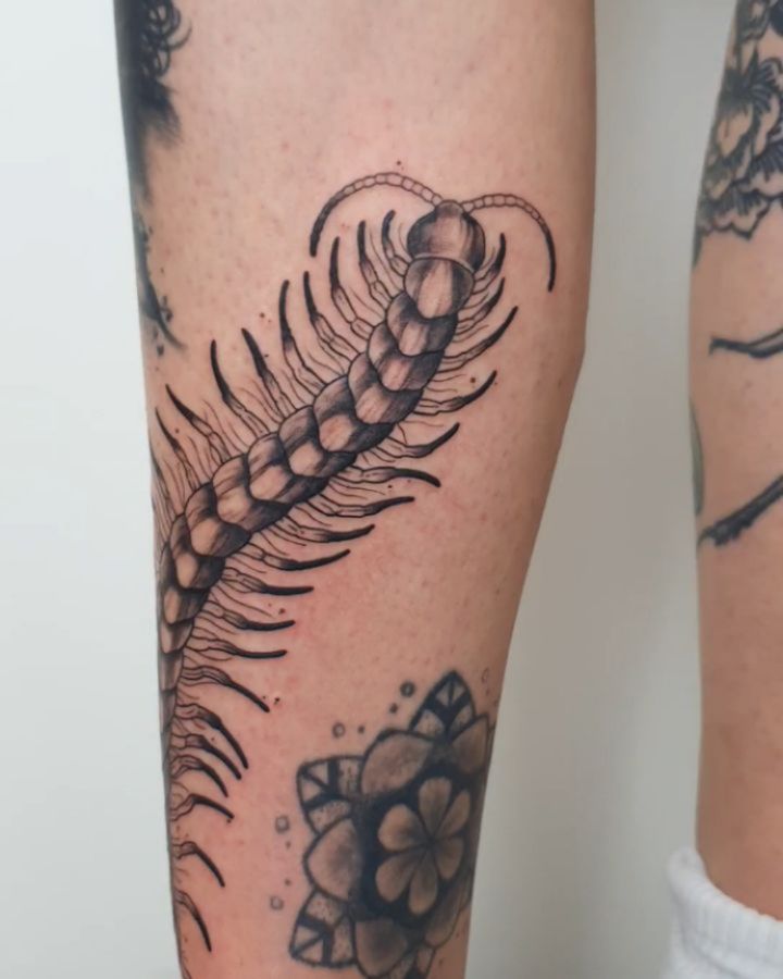 Cute little centipede for one of the best! @charlotte.euskirchen !
.
.
.
.
.
#ta