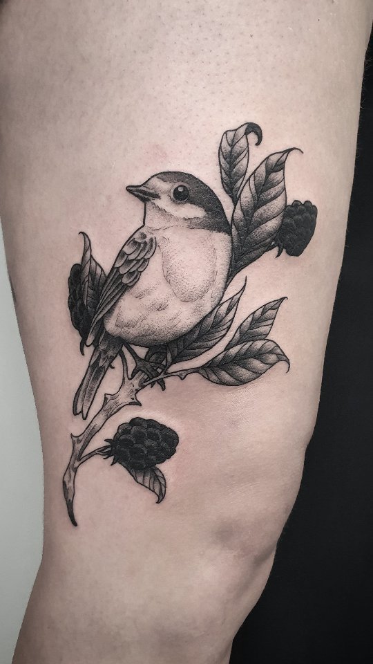 Good old birdie for @bettsyfetz #tattoo #ink #tattooartist #tattoos #bird #black