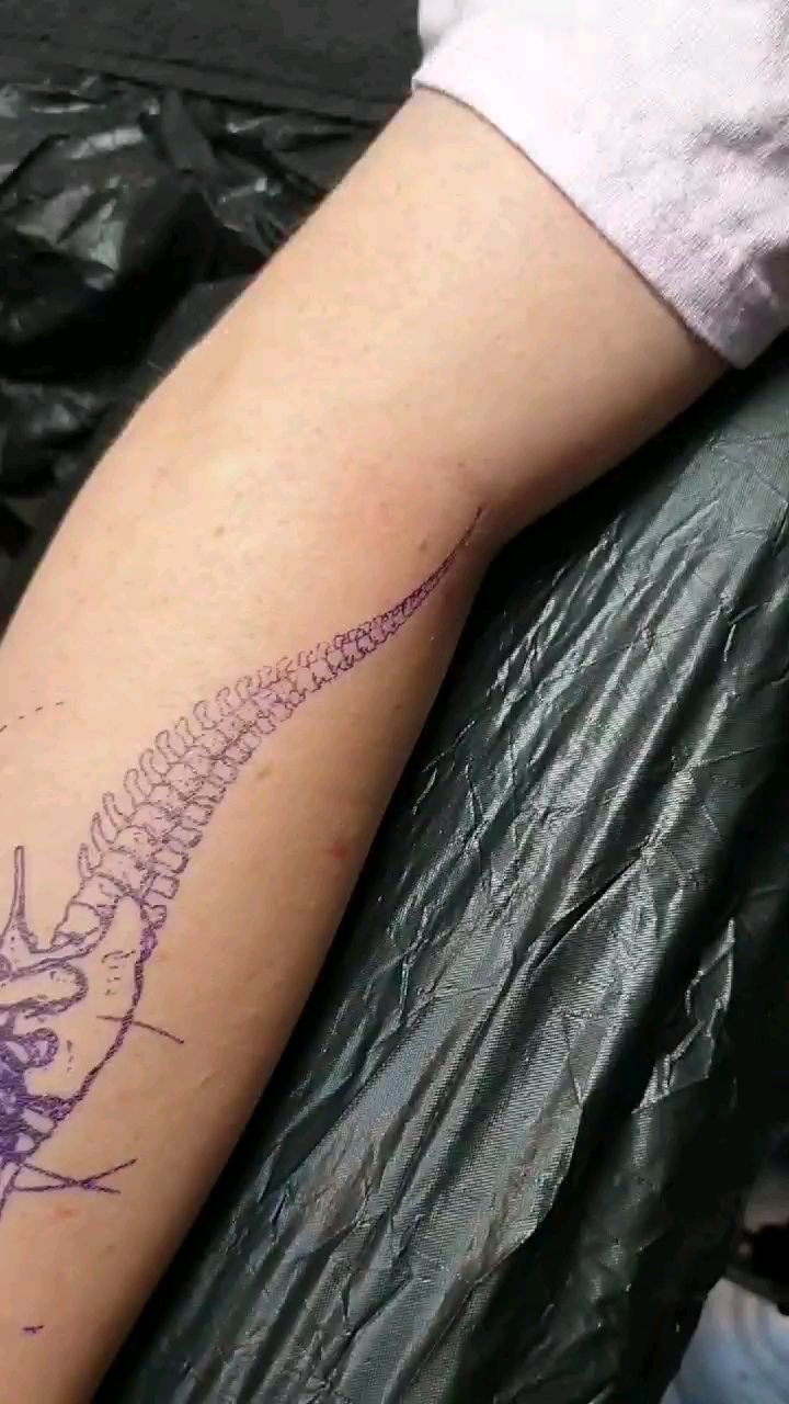 Trex from todays session 
.
.
.
.
#dinosaurtattoo #tattoo #trex #dinosaur #black
