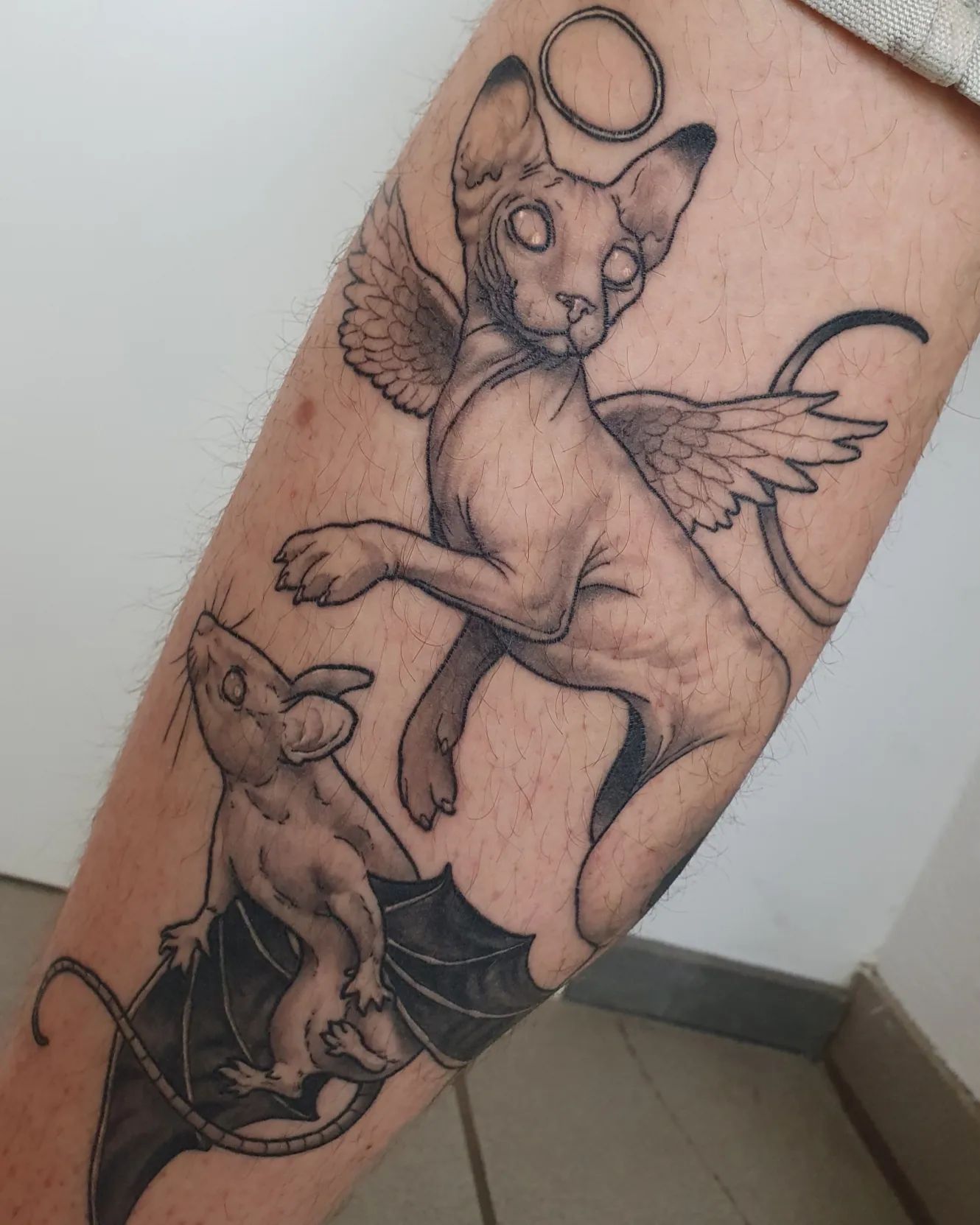 healing process on my guy @hohky
.
#tattoocat #dreamcatchertattoo #cattattoo #ca