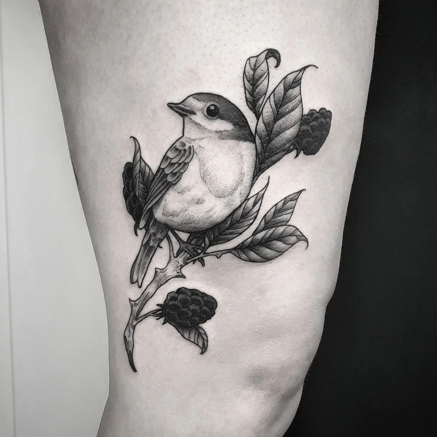 Little bird fella #tattoo #ink #tattooartist #tattoos #bird #blackwork #inked #a