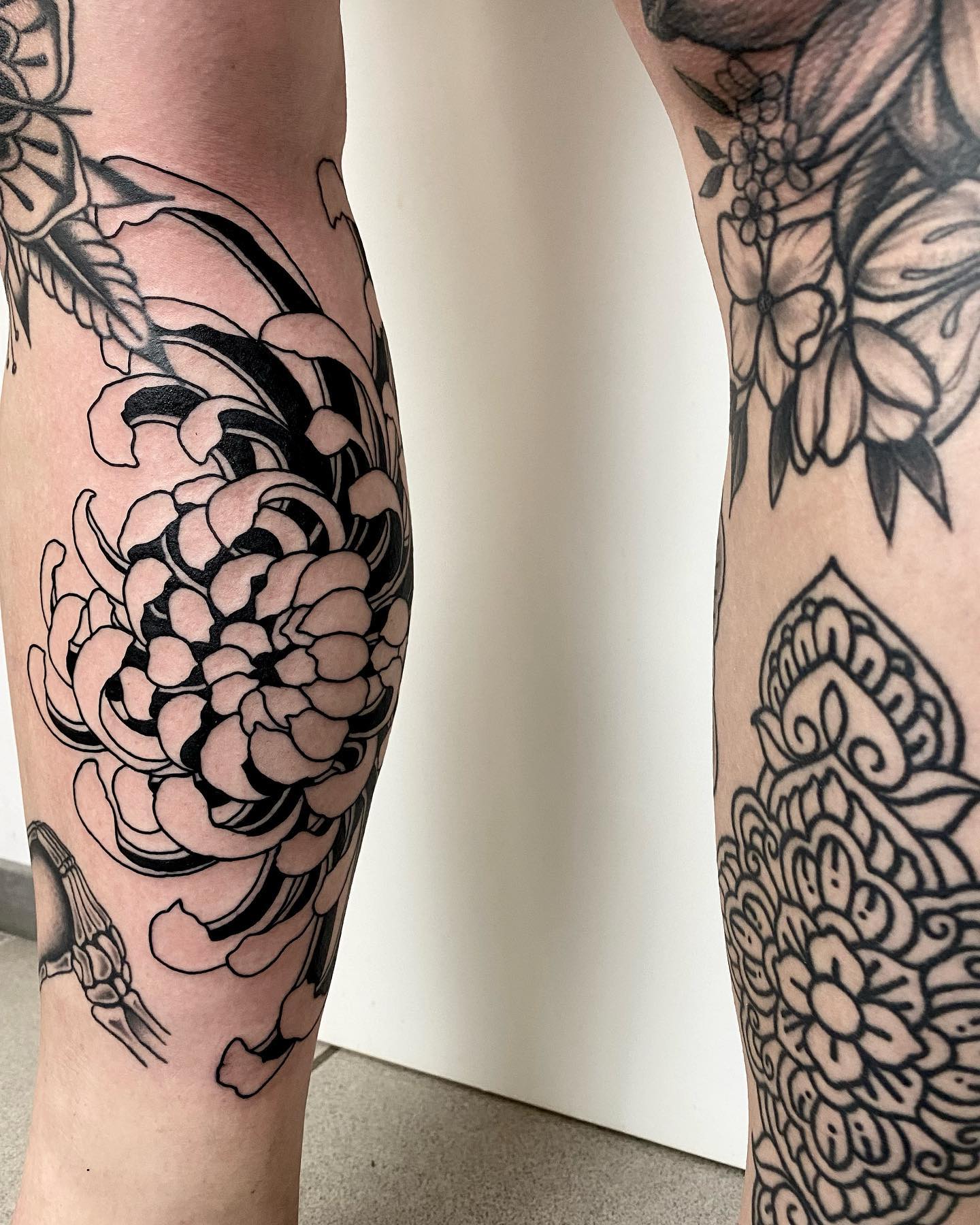 Frische Chrysantheme und verheilte Pfingstrose auf der tollen Stella 
.
.
.
#bla
