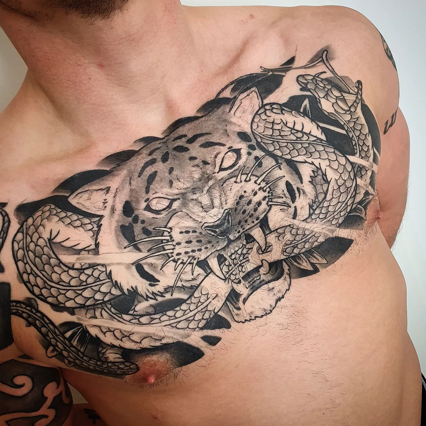 Healed Chest Piece on the homey @tobi_x_will
.
#japanesetattoo #tigertattoo #ire