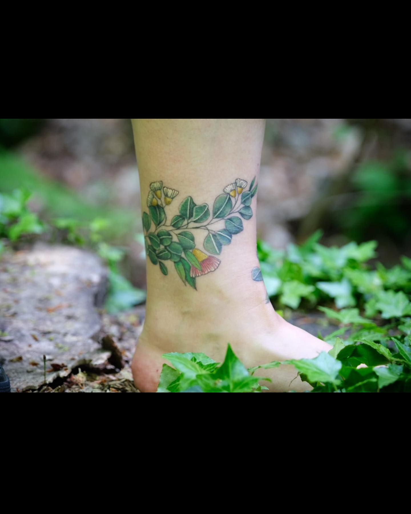 Kleines, verheiltes Fußband im Wald  Danke für das schöne Foto Jutta! 
•
•
•
•
#