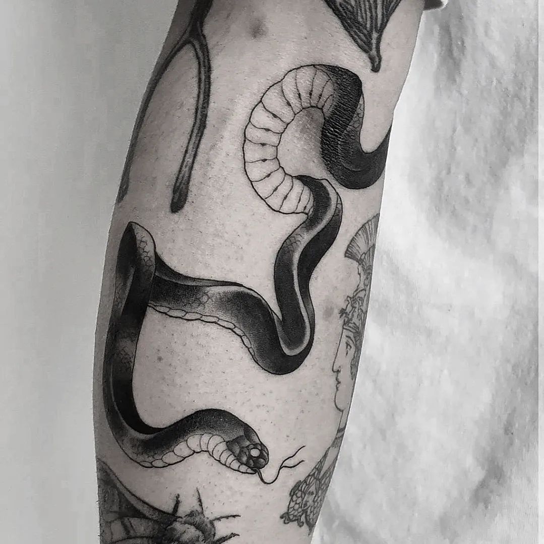 Old placeholder snake for @r.reider
#tattoo #blackwork #tattoos #snake #ink #tat