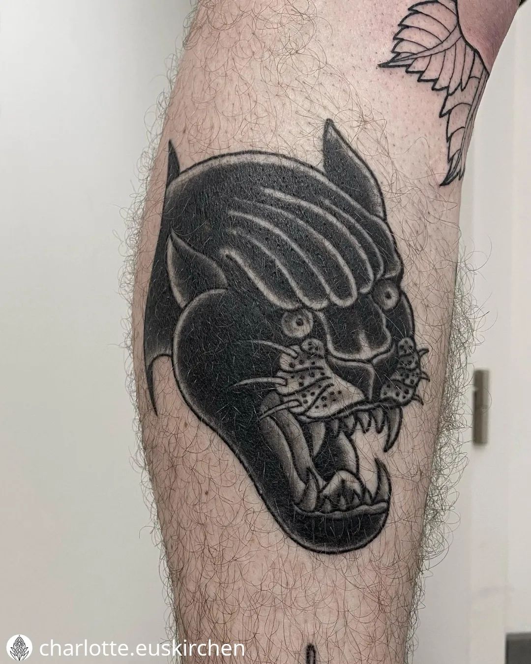 Verheilter Panther von @charlotte.euskirchen
• • • • • •
Heile auf Alex - Dankes