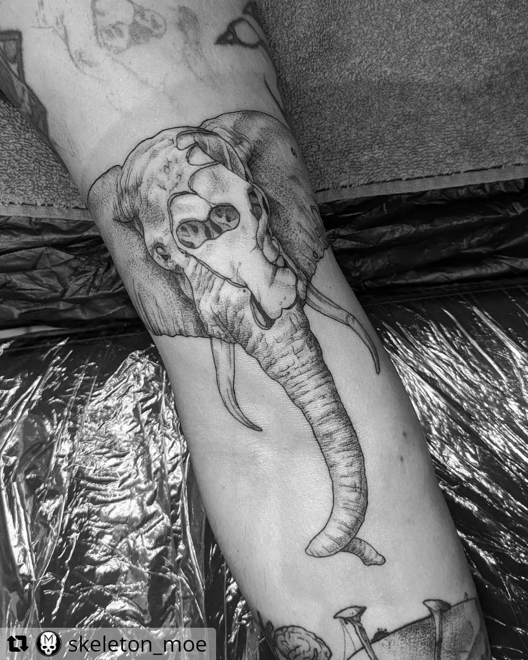 Elefant von @skeleton_moe
• • • • • •
Dead Elephant
.
#tattooartist #tattoodesig