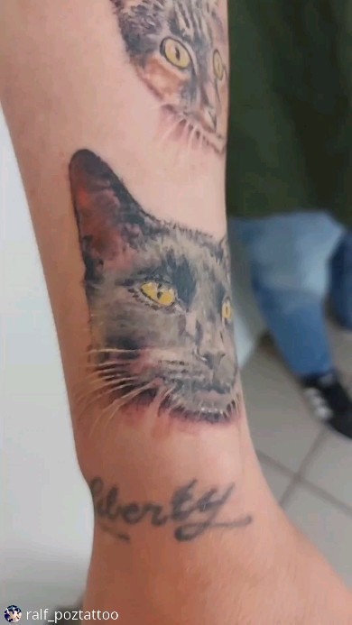 Katzen von @ralf_poztattoo
• • • • • •
Project started #inprogresstattoo #freywe