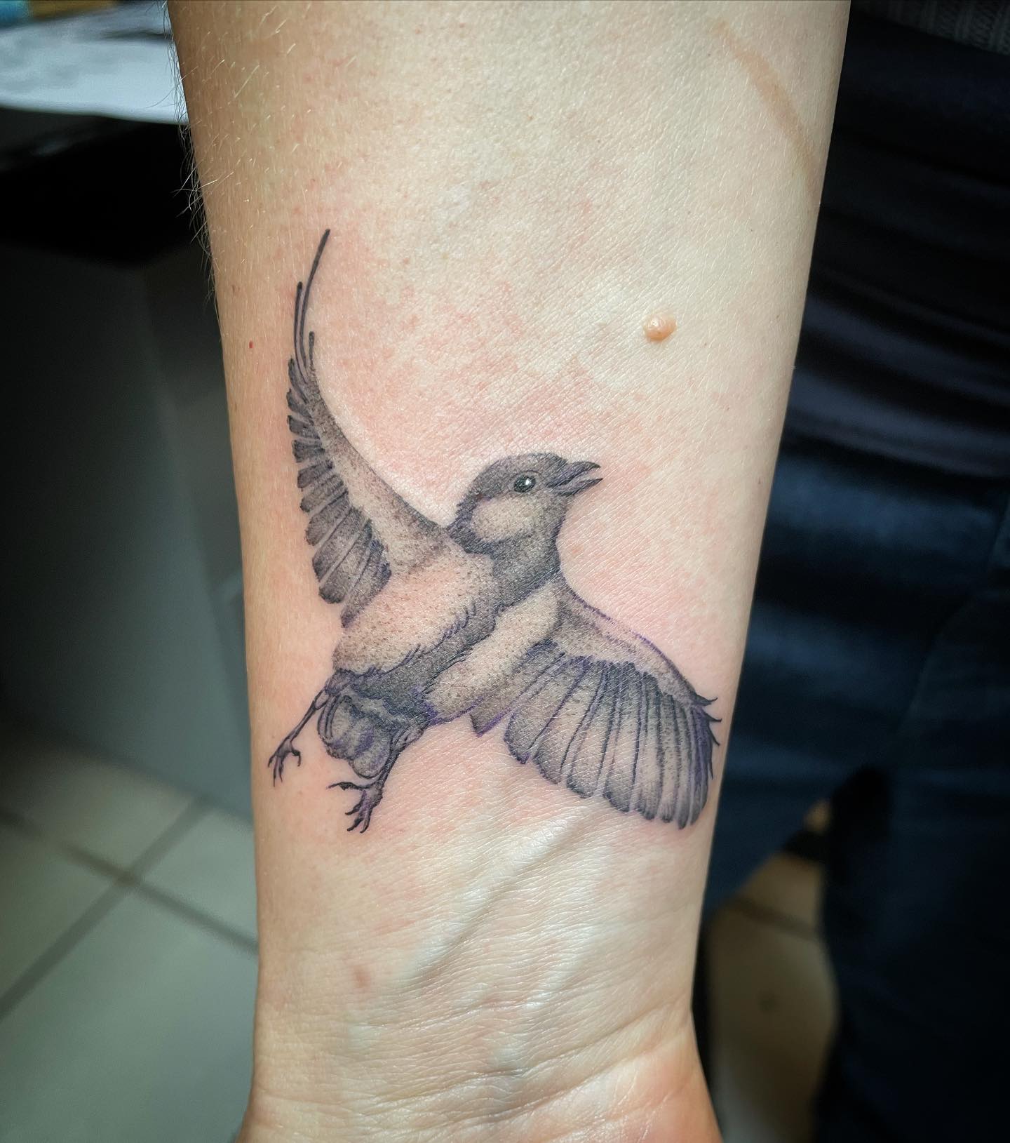 Kleine Meise  
•
•
•
•
#inked #inkedgirls #inkedup #inkstagram #ink #tattoos #ta