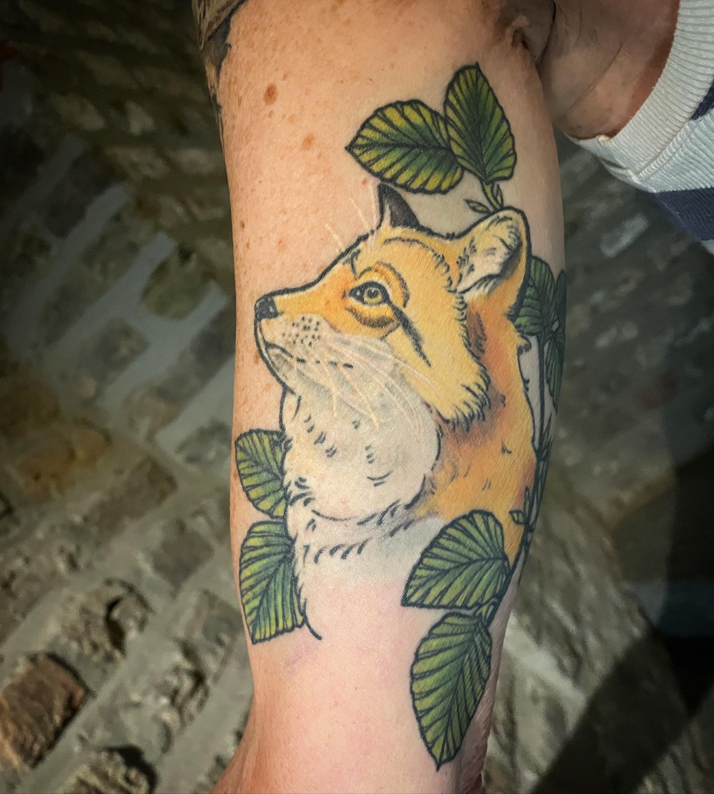 Kleiner Fuchs  (verheilt)
•
•
•
•
#inked #inkedgirls #inkedup #ink #tattoos #tat