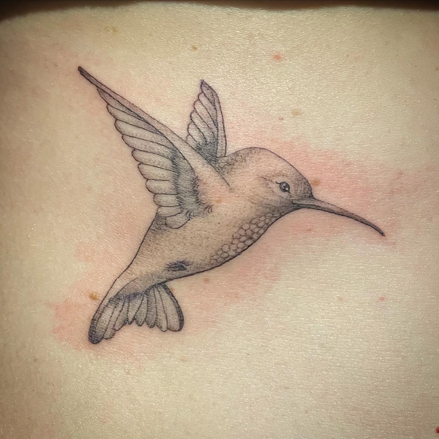 Kleiner Kolibri 
•
•
•
•
#inked #inkedgirls #inkedup #ink #tattoos #tattoo #tatt
