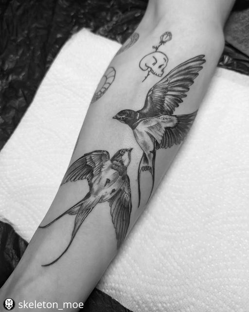 Swallows ♡@skeleton_moe
 • • • • • •
 Swallows for Abel. Thanks for the visit!
 ...