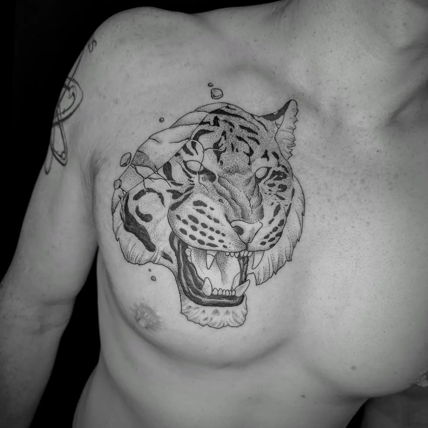 Tigersculpture for @yryryryryryryryryryryryryryr
.
#tattoo #ink #tattoos #tiger