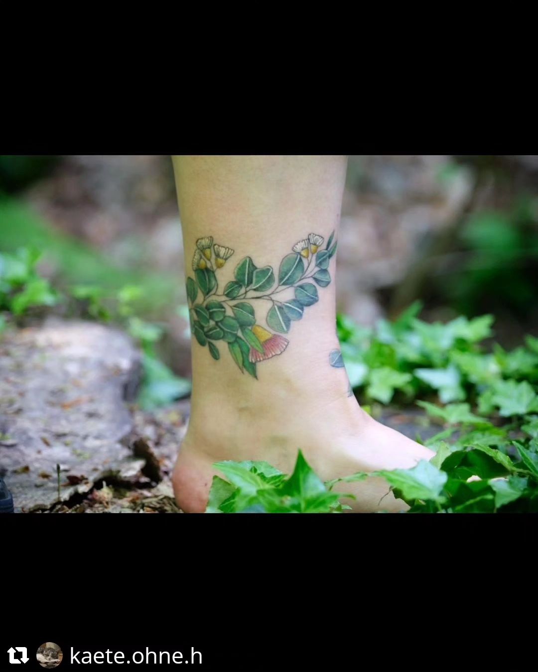 Verheiltes Fußbändchen von  @kaete.ohne.h
• • • • • •
Kleines, verheiltes Fußban