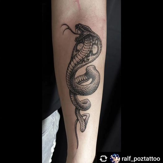 Schlange von @ralf_poztattoo
 #tattoo#snaketattoo#freywerk #tattoocologne #black...