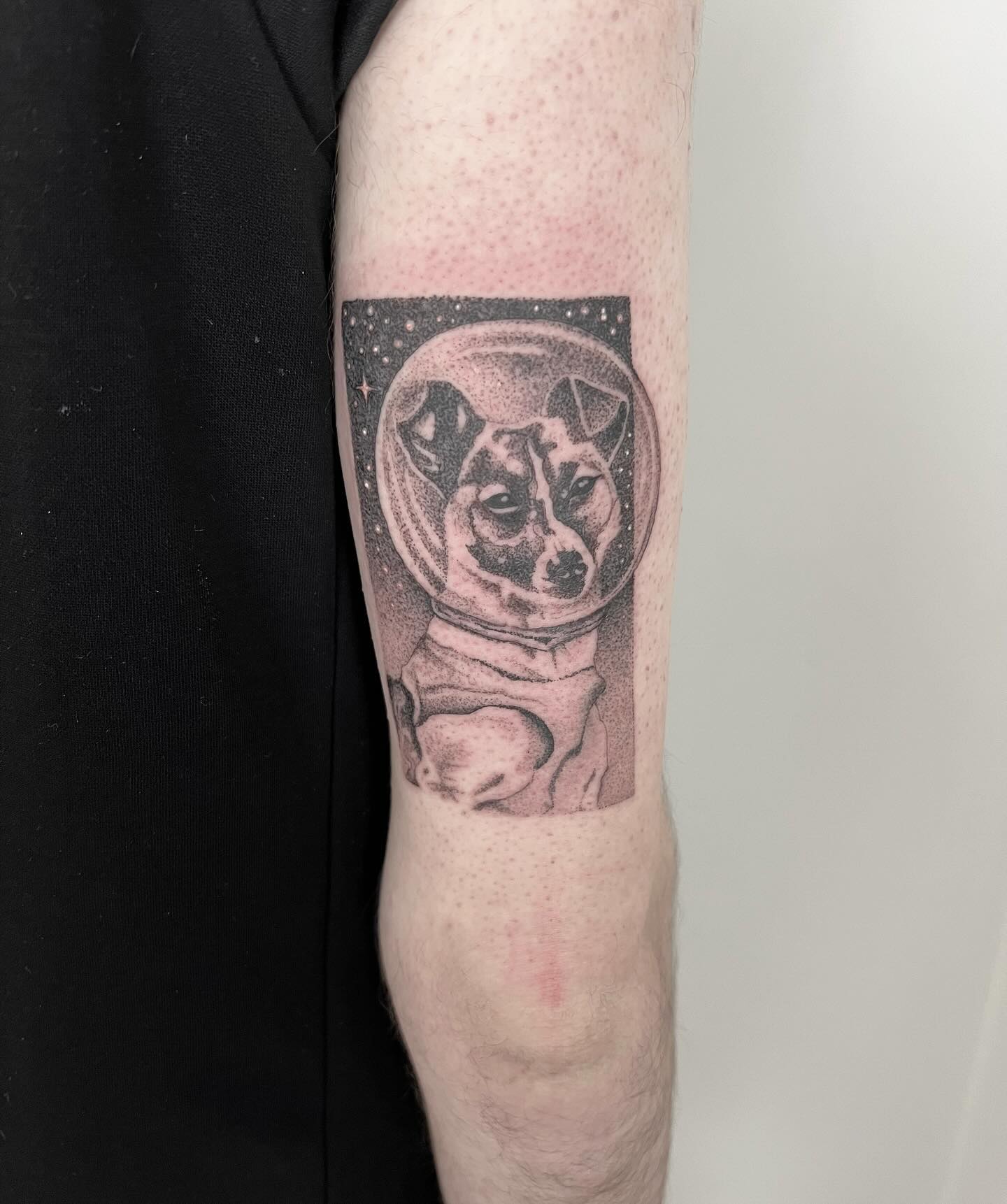 Danke Lorenz 

#dotwork #blackwork #blackngreytattoo #darkartists #laika #ladyta