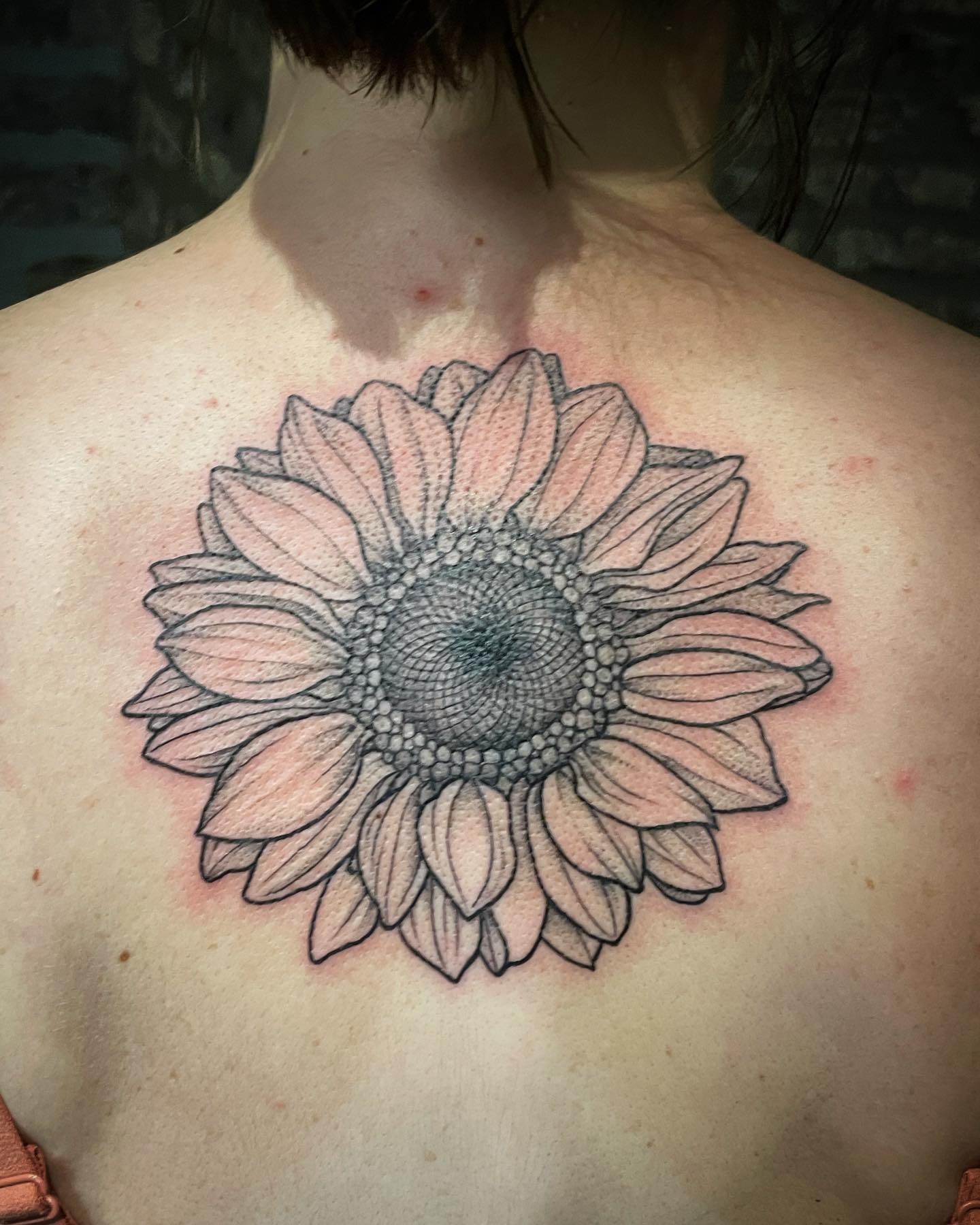 Sonnenblume 
•
•
•
#inked #inkedgirls #ink #tattoo #tattoos #tattoed #tatts #flo