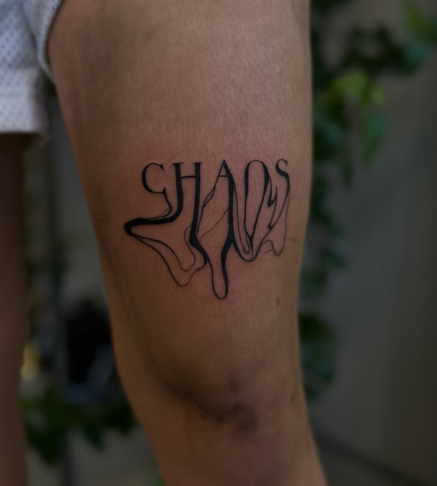 __
Thank you  

 #tattoo #tattooideas #tattooinspiration #tattoocologne #tattook