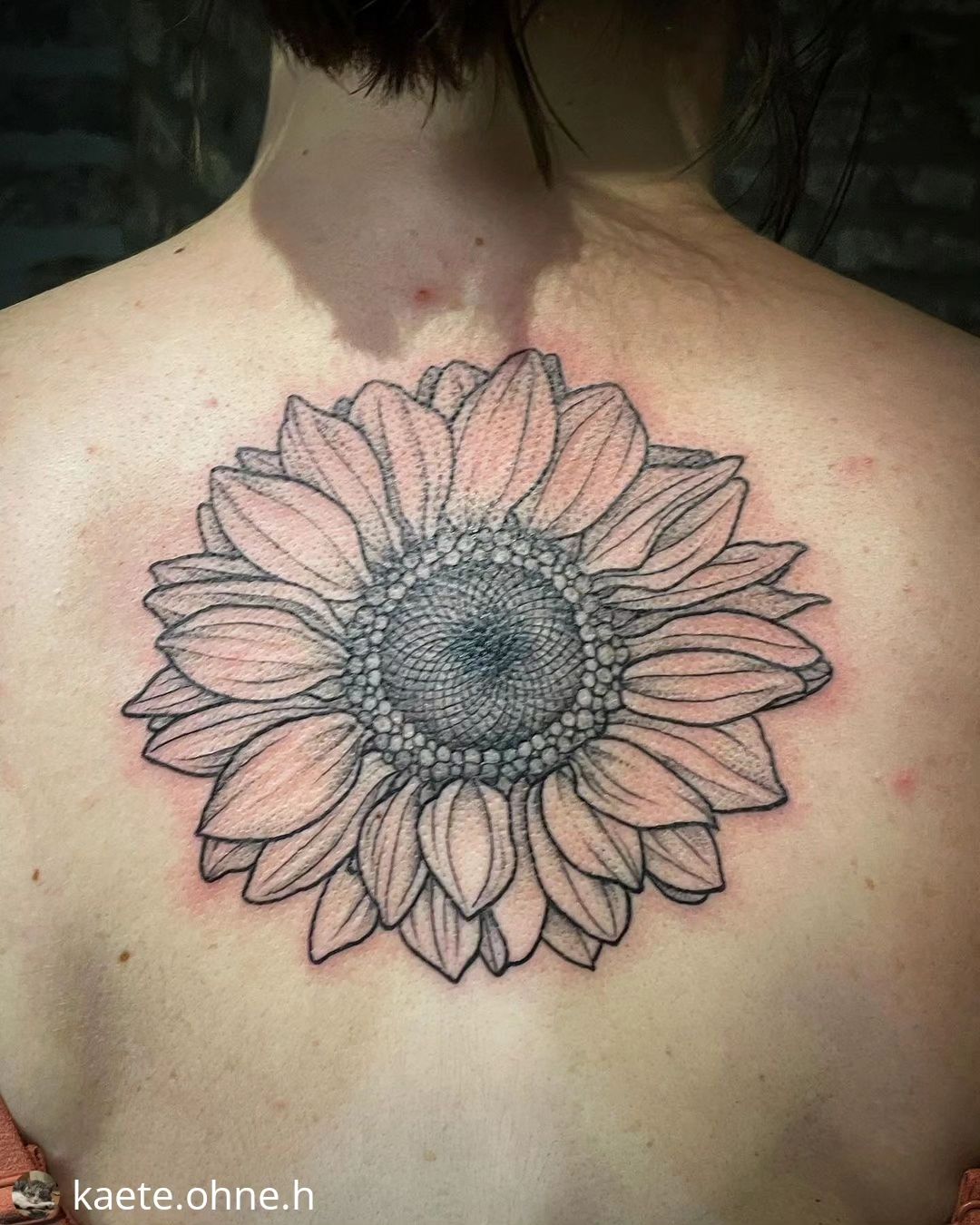Sonnenblume von @kaete.ohne.h
• • • • • •
Sonnenblume  • • • #inked #inkedgirls