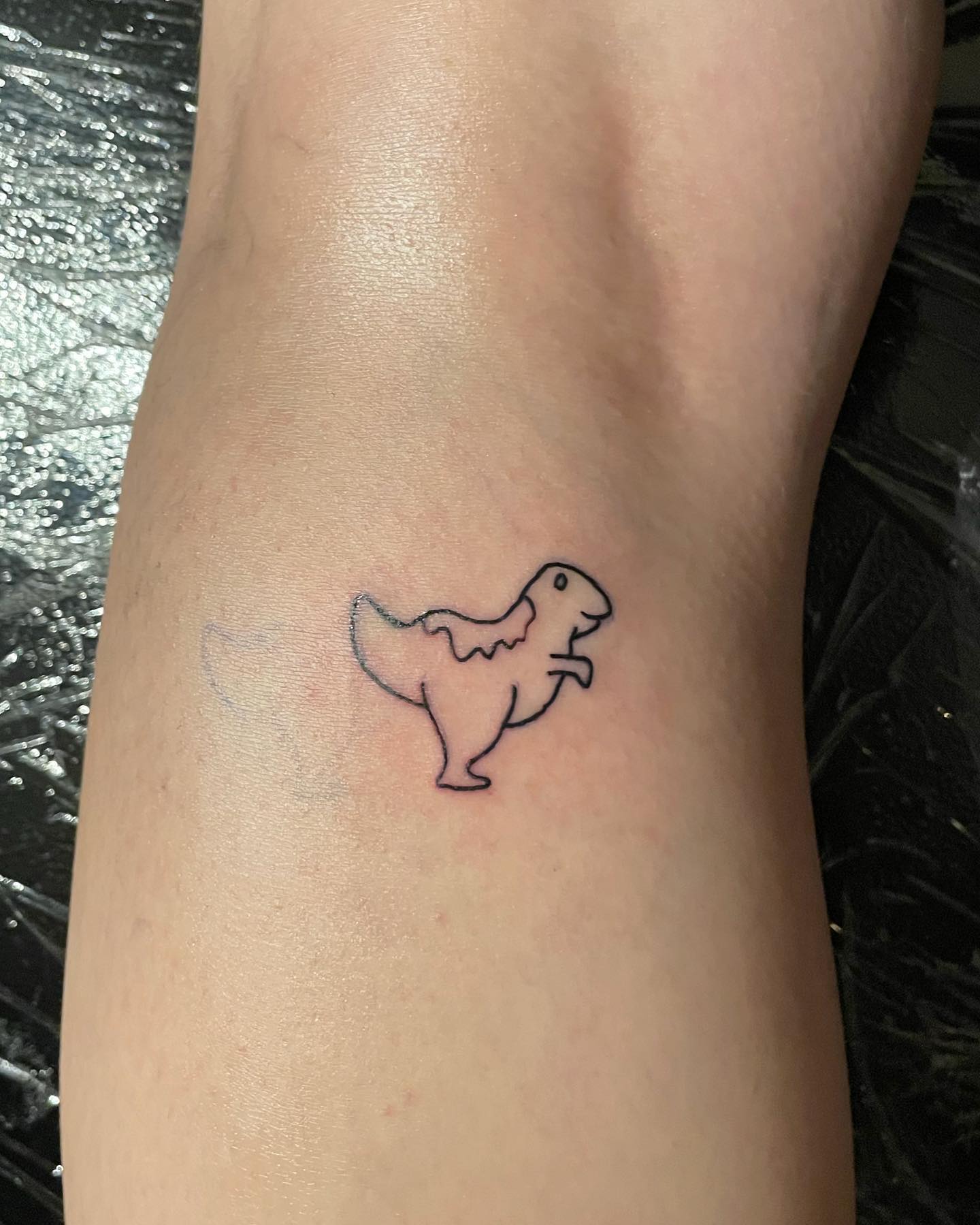 Tobias found a home
_ Dino tattoo_   

#flashtattoo #flashtattoodesign #tattooid