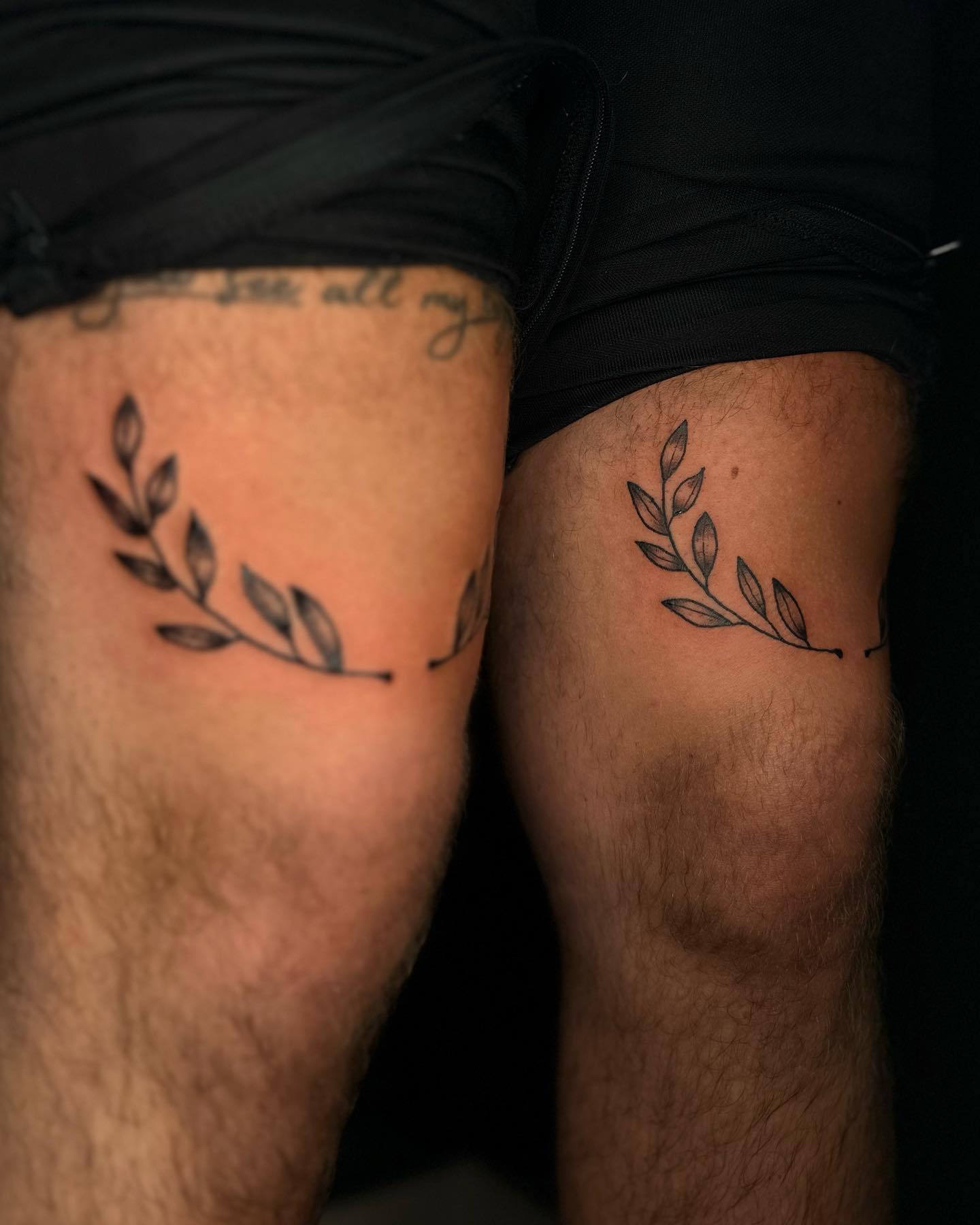 _leaves_
.
.
#tattoo #tattoos #black #blackworktattoo #illustration #leaf #leaft