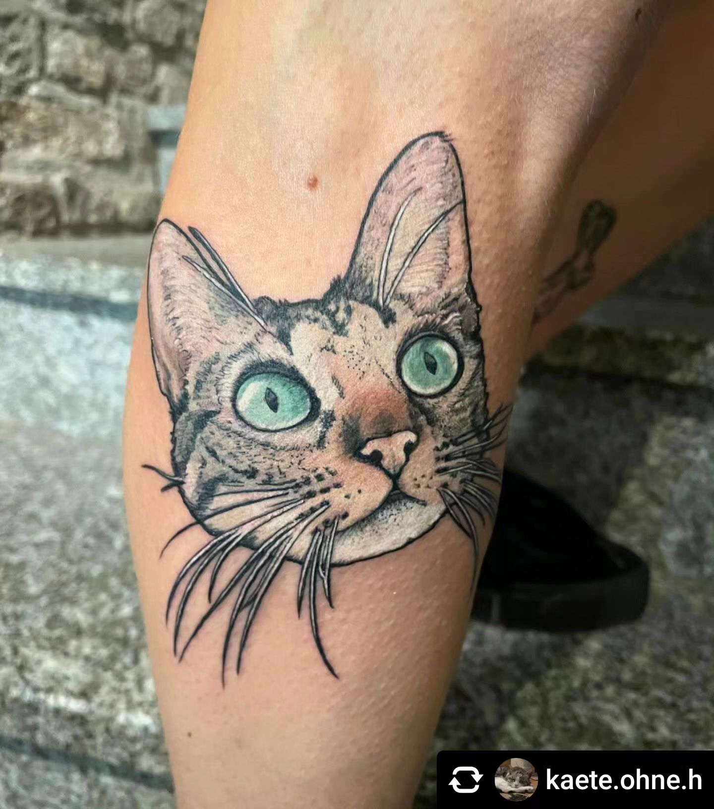 Kleine Katze von @kaete.ohne.h 

Kleine Katze  
•
#inked #inkedgirls #ink #inkst