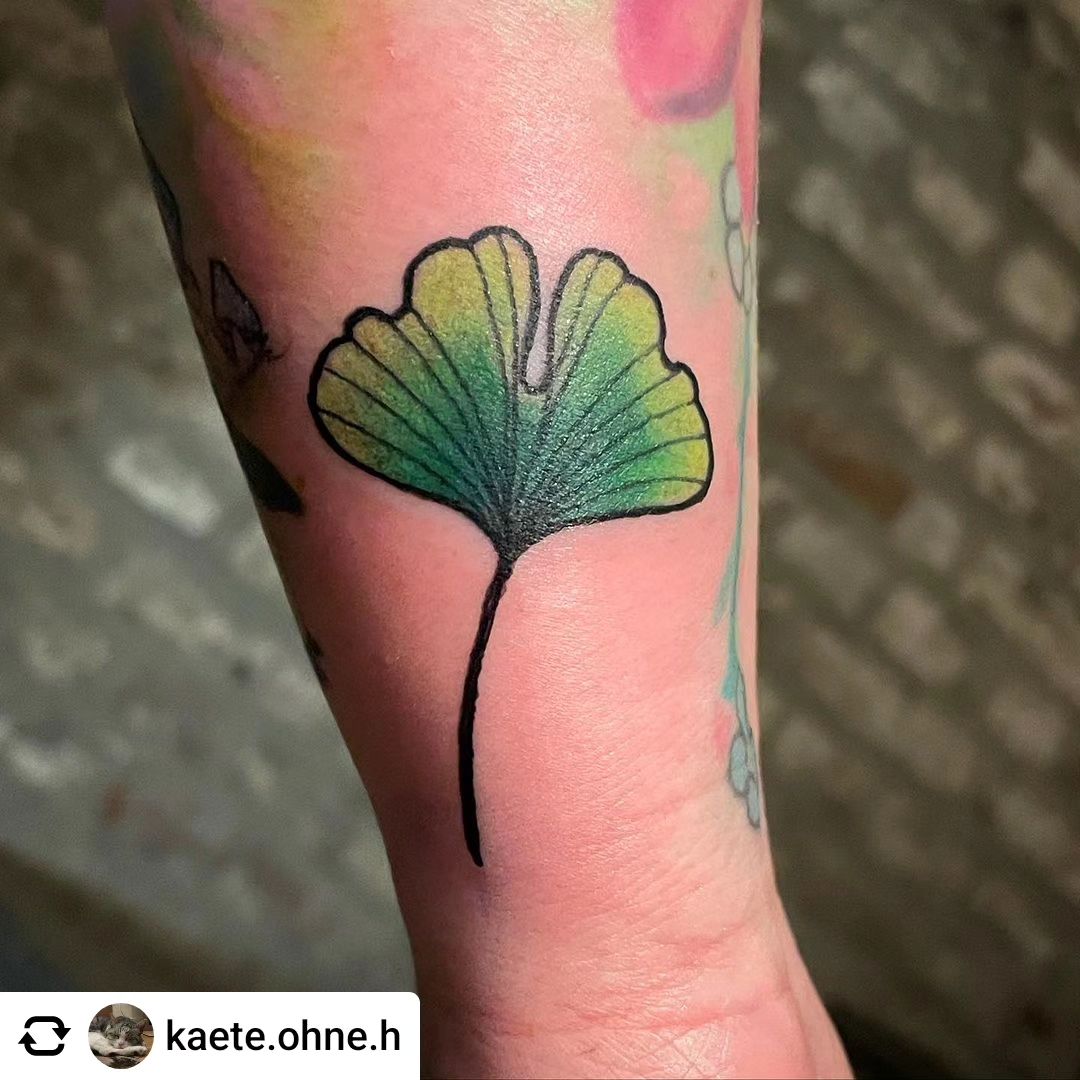 Ginko von @kaete.ohne.h

Ginko 
•
#inked #inkedgirls #inkedup #inkstagram #tatto